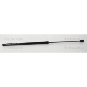 Heckklappendämpfer 8710 16271 von TRISCAN günstig für 28,59 € online kaufen