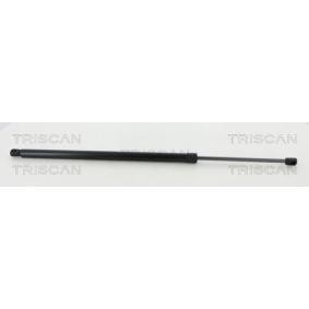 Heckklappendämpfer 8710 16277 von TRISCAN günstig für 29,63 € online kaufen