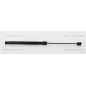 Motorhaubendämpfer 8710 29148 von TRISCAN günstig für 20,79 € online kaufen