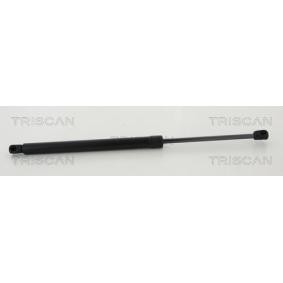 Heckklappendämpfer 8710 43245 von TRISCAN günstig für 38,73 € online kaufen