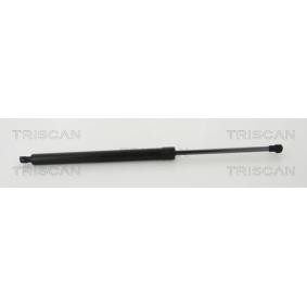 Heckklappendämpfer 8710 50265 von TRISCAN günstig für 16,22 € online kaufen