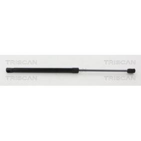Heckklappendämpfer 8710 69227 von TRISCAN günstig für 27,59 € online kaufen