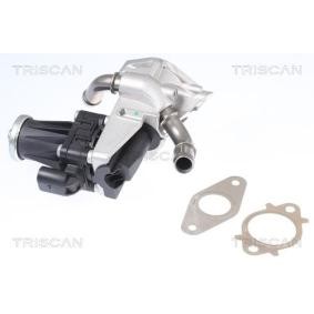 Comprar Válvula EGR de TRISCAN 8813 16150 a bajo precio de 177,89 €