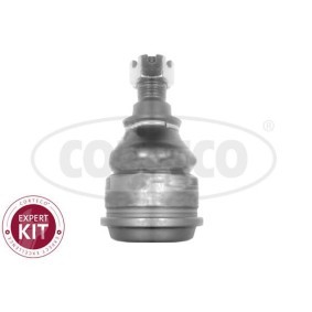Traggelenk 49399503 von CORTECO günstig für 15,27 € online kaufen