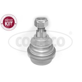 Traggelenk 49400323 von CORTECO günstig für 16,02 € online kaufen