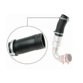 Acquista Tubo intercooler da BUGIAD online per FOCUS III Tre volumi a prezzi moderati