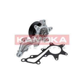 Wasserpumpe T0109 von KAMOKA günstig für 45,77 € online kaufen