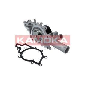 Wasserpumpe T0190 von KAMOKA günstig für 54,46 € online kaufen