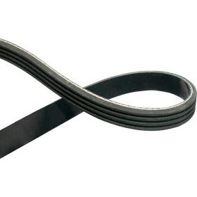 Keilrippenriemen DMV-2072 von KAVO PARTS günstig für 22,73 € online kaufen