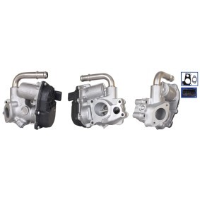 Compre Válvula EGR da ELSTOCK 73-0294 a um preço baixo por 558,21 €