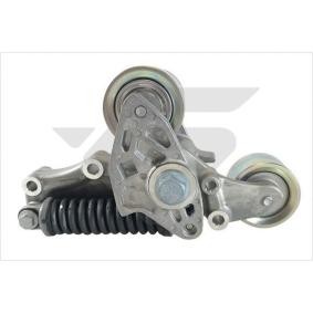 Achetez des Poulie, tendeur de courroie d'accessoire HUTCHINSON T3033 à prix pour 376,35 €
