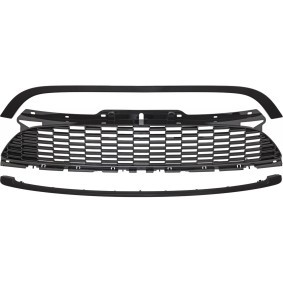Compre Grelha de radiador da DIEDERICHS 1206341 a um preço baixo por 157,65 €