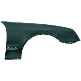 Compre Guarda-lamas de DIEDERICHS online para CLK Cabriolet (A208) a preços moderados
