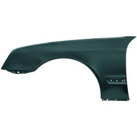 Compre Guarda-lamas de DIEDERICHS online para CLK Cabriolet (A208) a preços moderados