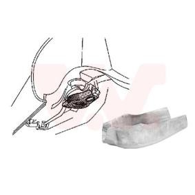 Comprar Chapa de reparación de VAN WEZEL 3755499 a bajo precio de 36,34 €