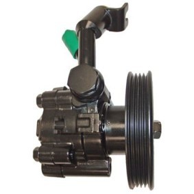 Servopumpe 04.13.0295-1 von LIZARTE günstig für 231,74 € online kaufen