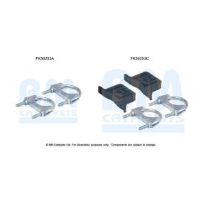 Achetez des Kit d'assemblage, tuyau d'échappement BM CATALYSTS FK50253 à prix pour 7,03 €