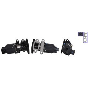 Compre Válvula EGR da DRI 717730310 a um preço baixo por 166,36 €
