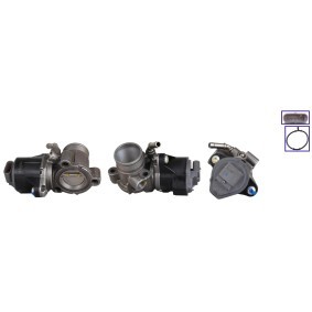 Compre Válvula EGR da DRI 717730327 a um preço baixo por 213,19 €
