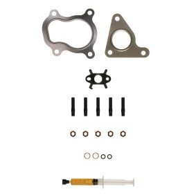 Comprar Juego de montaje, turbocompresor de ALANKO 10920337 a bajo precio de 24,56 €
