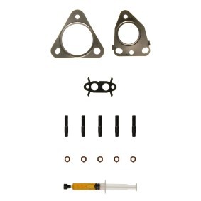 Comprar Juego de montaje, turbocompresor de ALANKO 10920693 a bajo precio de 46,18 €