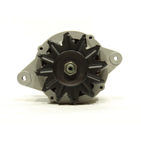 Compre Alternador de ALANKO online para BLUEBIRD (B610) a preços moderados