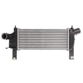 Ladeluftkühler DA1001TT von THERMOTEC günstig für 173,77 € online kaufen