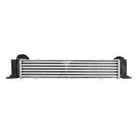 Ladeluftkühler DAB009TT von THERMOTEC günstig für 124,88 € online kaufen