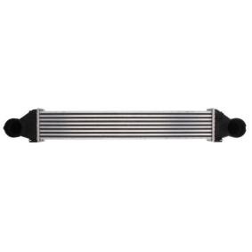 Acquista Intercooler da THERMOTEC DAM007TT a buon mercato per soli 111,07 €