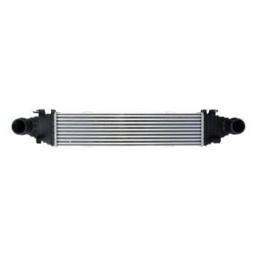 Ladeluftkühler DAM009TT von THERMOTEC günstig für 157,20 € online kaufen