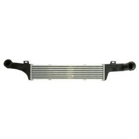 Ladeluftkühler DAM010TT von THERMOTEC günstig für 77,09 € online kaufen