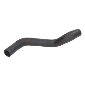 Kühlerschlauch DWF251TT von THERMOTEC günstig für 11,75 € online kaufen