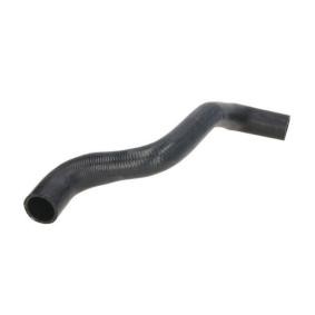 Compre Manguito de radiador de THERMOTEC online para Fiesta Mk4 (J3, J5, J3S, J5S) a precios moderados