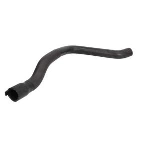 Kühlerschlauch DWP096TT von THERMOTEC günstig für 14,63 € online kaufen