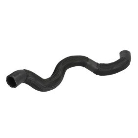 Comprar Tubería de radiador de THERMOTEC DWP147TT a bajo precio de 3,63 €