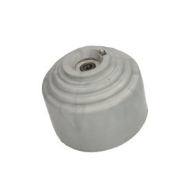 Compre Suporte, motor da FORTUNE LINE FZ91641 a um preço baixo por 50,55 €