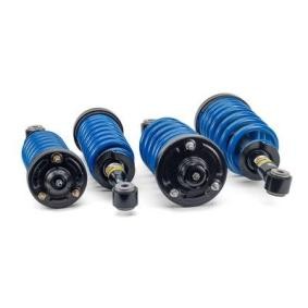 Comprar Kit amortiguadores y muelles de Arnott C-2293 a bajo precio de 1678,92 €