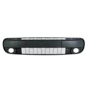 Achetez des Grille de pare-choc de chez BLIC en ligne pour 500L (351, 352) à prix modérés