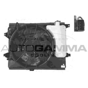 Compre Ventilador de radiador da AUTOGAMMA GA228218 a um preço baixo por 172,51 €