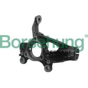 Compre Manga de eixo, suspensão da Borsehung B18509 a um preço baixo por 109,29 €