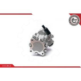 Compre Bomba de direção da ESEN SKV 10SKV224 a um preço baixo por 144,18 €