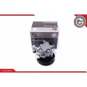 Compre Bomba de direção da ESEN SKV 10SKV235 a um preço baixo por 196,73 €