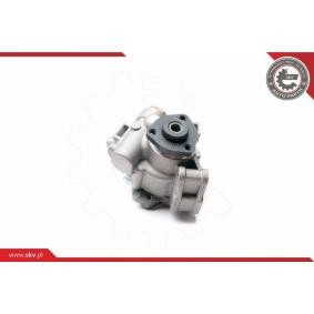 Compre Bomba de direção da ESEN SKV 10SKV236 a um preço baixo por 156,63 €