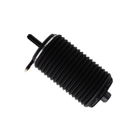 Achetez des Ressort pneumatique BILSTEIN 40-273778 à prix pour 424,51 €