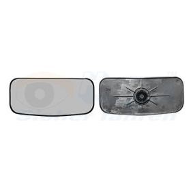 Spiegelglas, Außenspiegel 4391839 von VAN WEZEL günstig für 22,56 € online kaufen