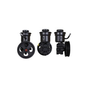 Servopumpe 15-1707 von ELSTOCK günstig für 188,31 € online kaufen