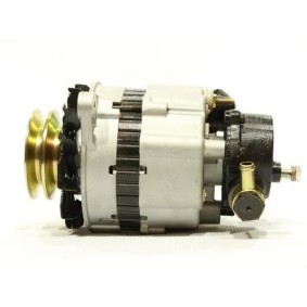 Acquista Alternatore da ALANKO 11442255 a buon mercato per soli 504,53 €