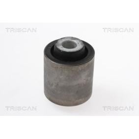 Compre Suspensão, braço oscilante da TRISCAN 8500 17825 a um preço baixo por 26,56 €