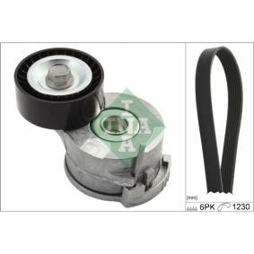 Achetez des Kit de courroie d'accessoire de chez INA en ligne pour 3008 SUV (MR, MC, MJ) à prix modérés