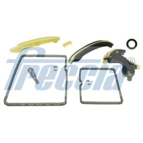 Steuerkettensatz TK08-1029 von FRECCIA günstig für 354,20 € online kaufen